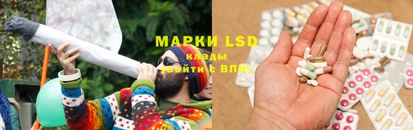ешки Каменногорск