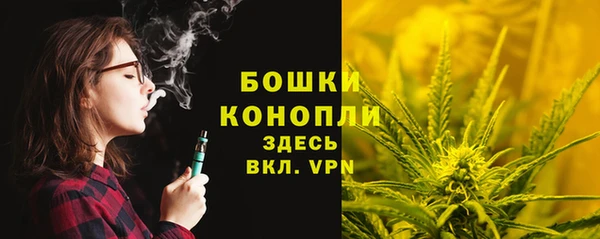гидра Каменка