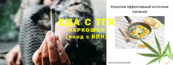 гидра Каменка