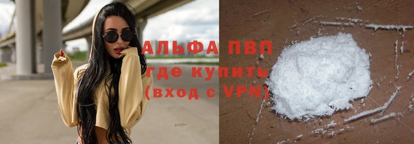 гидра Каменка
