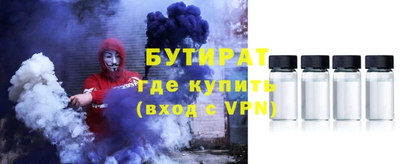 гидра Каменка