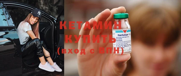 гидра Каменка