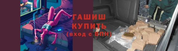 гидра Каменка