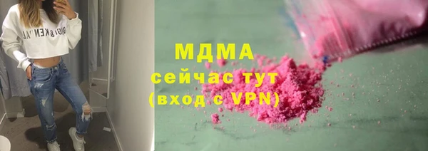 гидра Каменка