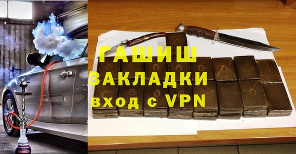 гидра Каменка