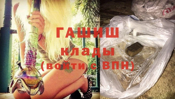 гидра Каменка