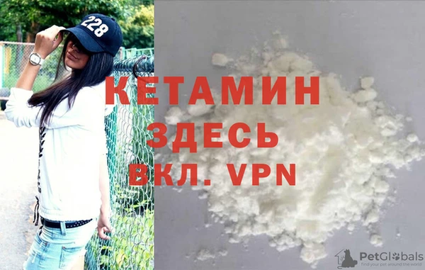 гидра Каменка