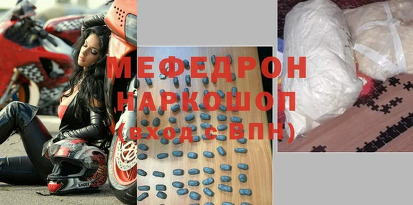 гидра Каменка