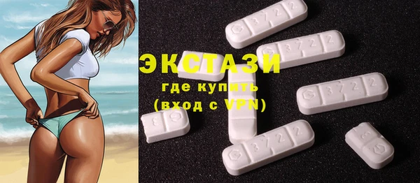 гидра Каменка