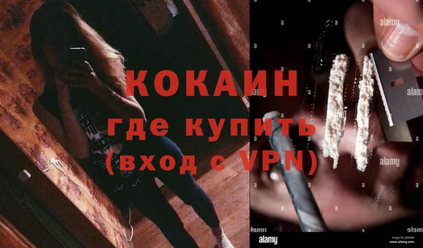 ешки Каменногорск