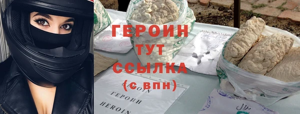 гидра Каменка