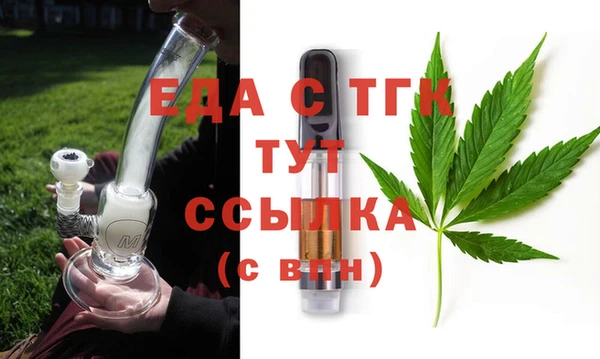 гидра Каменка