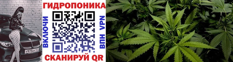 Купить  Долгопрудный  Канабис MAZAR 
